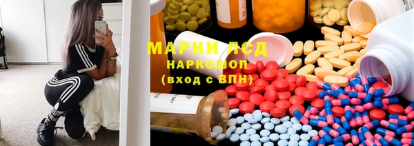гидропоника Алзамай