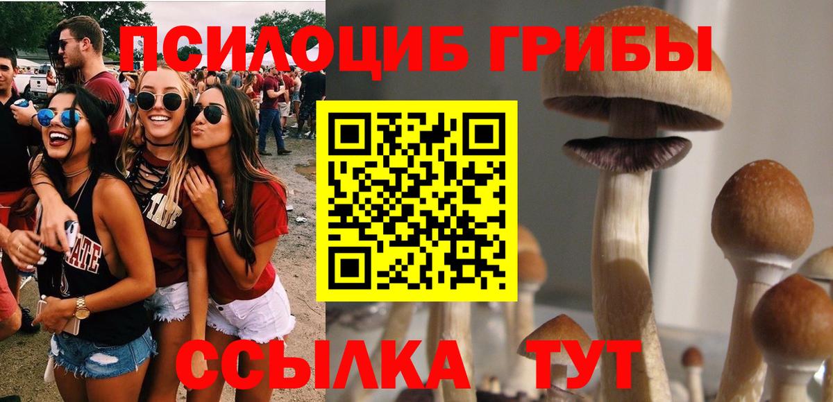 Череповец  Галлюциногенные грибы прущие грибы  Вход с VPN 